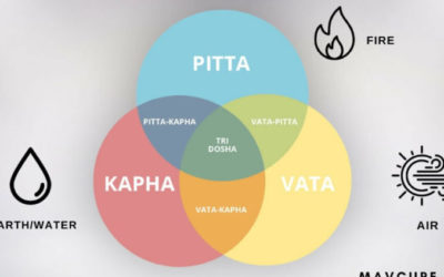 वात पित कफ (TRIDOSHA) IN HINDI